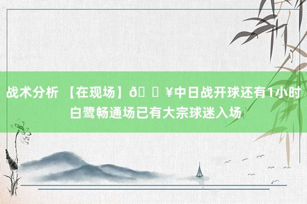 战术分析 【在现场】🔥中日战开球还有1小时 白鹭畅通场已有大宗球迷入场