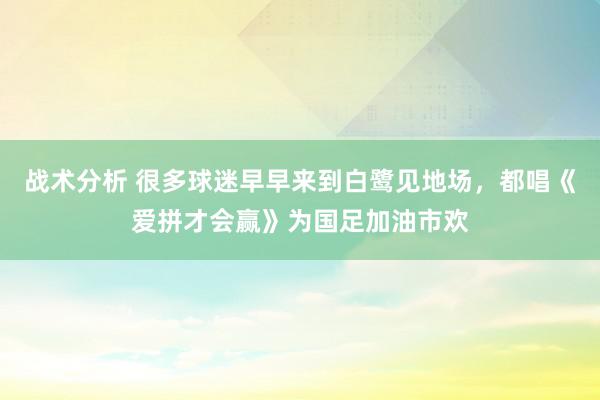 战术分析 很多球迷早早来到白鹭见地场，都唱《爱拼才会赢》为国足加油市欢