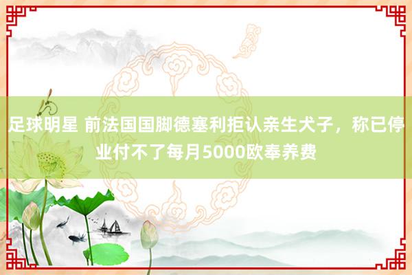 足球明星 前法国国脚德塞利拒认亲生犬子，称已停业付不了每月5000欧奉养费