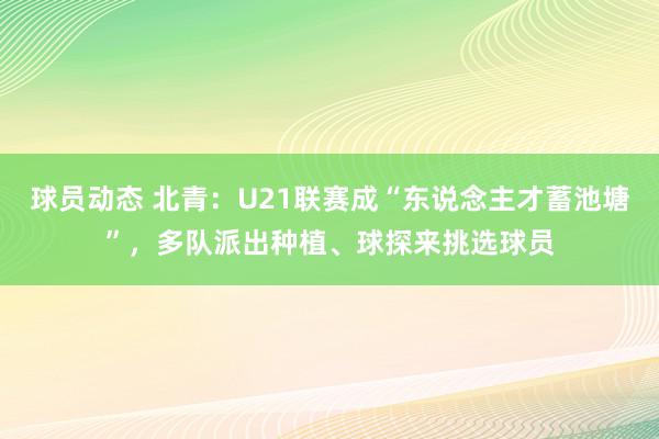 球员动态 北青：U21联赛成“东说念主才蓄池塘”，多队派出种植、球探来挑选球员