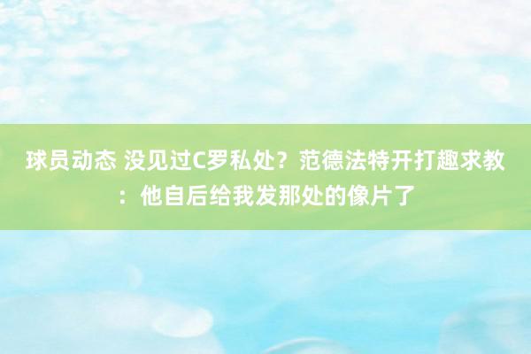 球员动态 没见过C罗私处？范德法特开打趣求教：他自后给我发那处的像片了