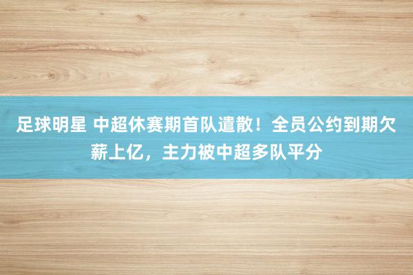 足球明星 中超休赛期首队遣散！全员公约到期欠薪上亿，主力被中